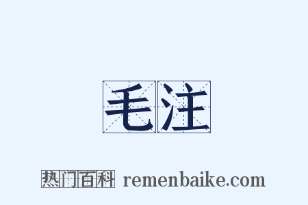 毛注是什么意思的图片